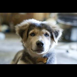 Meet your Posher, Alexia